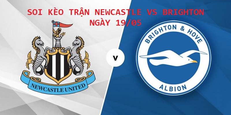 Soi kèo trận Newcastle vs Brighton giải Ngoại hạng Anh ngày 19/05